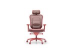 Mesh Chairs